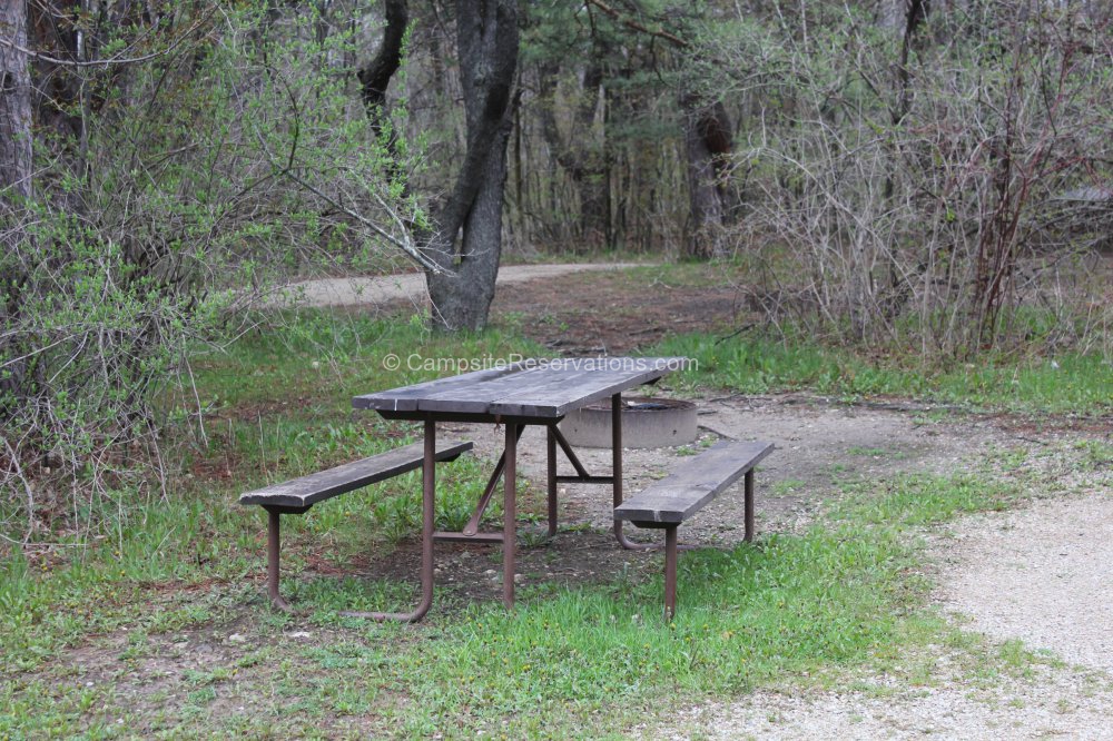 Photo of Campsite 477 in Tennison Bay Campground at Peninsula State